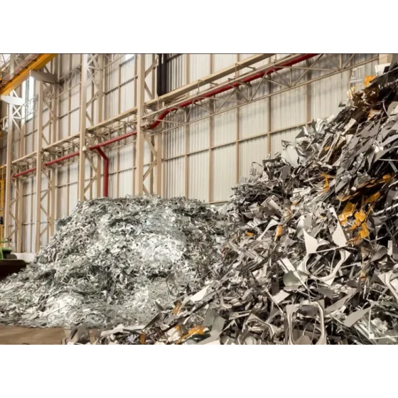 Test di co-estrazione dei componenti polimetallici