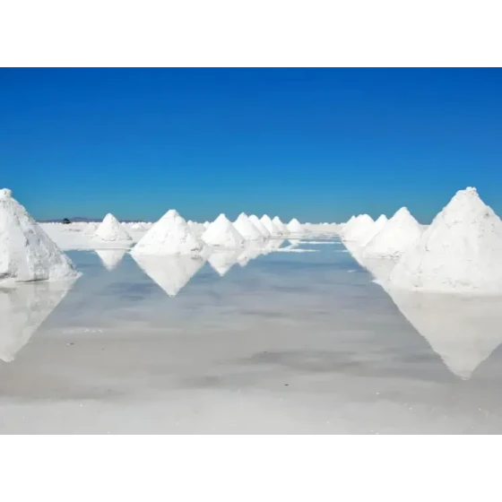 Estrazione del litio per flottazione da risorse di salamoia del lago salato