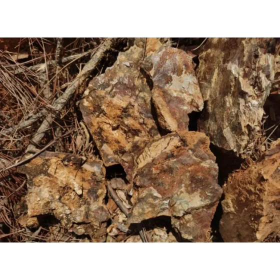 Test di lavorazione del minerale d'oro ossidato