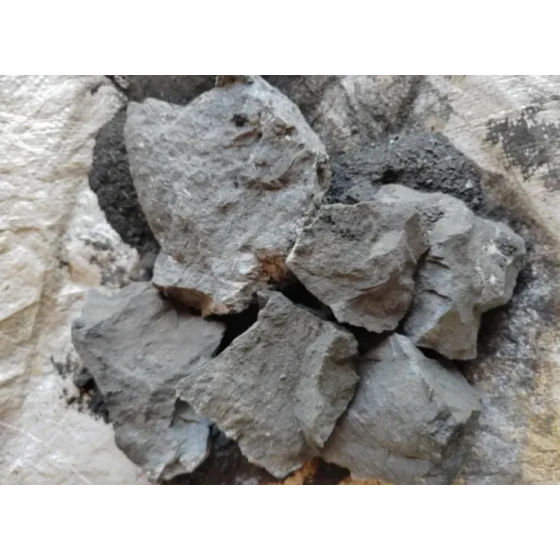 Test di lavorazione mineraria di minerali d'oro ad alto tenore di zolfo