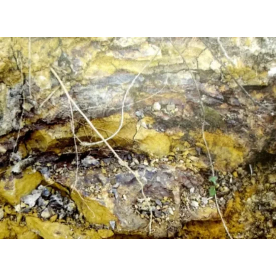 Test del processo di lisciviazione per minerali associati refrattari