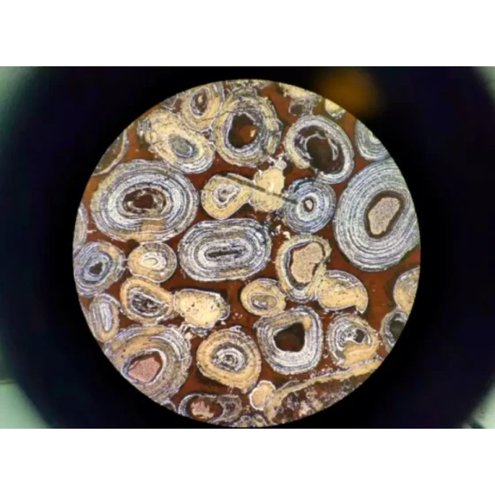 Test di defosforilazione e desilicazione dell'ematite oolitica