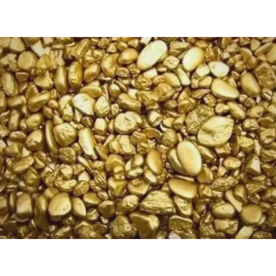 Pretrattamento e test di lisciviazione di un concentrato d'oro complesso