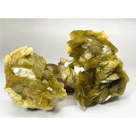 Servizi di prova per l'elaborazione dei minerali Ordina online