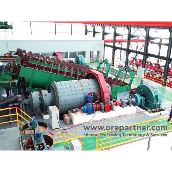 Partecipazione tecnologica/quota tecnologica