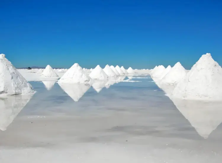 Estrazione del litio per flottazione da risorse di salamoia del lago salato