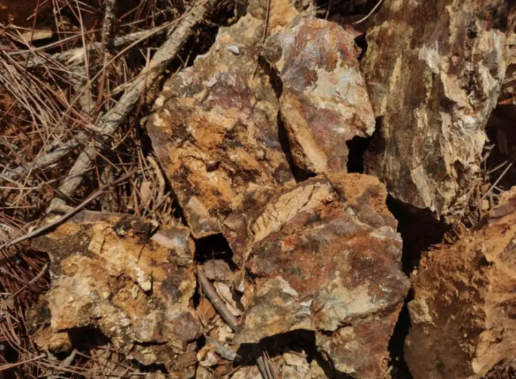 Test di lavorazione del minerale d'oro ossidato
