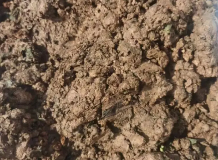 Test di trattamento dei residui di minerale di ossido metallico