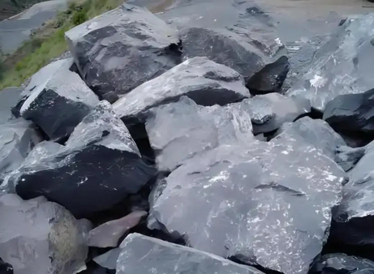 Test di recupero da sterili d'oro carbonacei