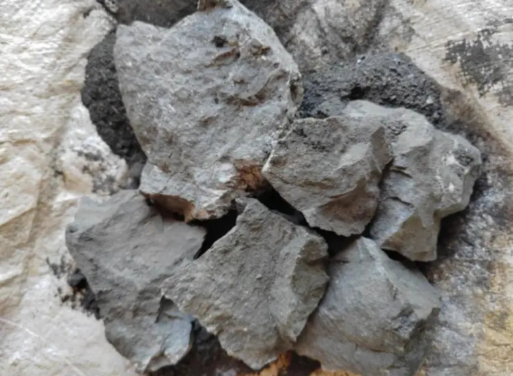 Test di lavorazione mineraria di minerali d'oro ad alto tenore di zolfo