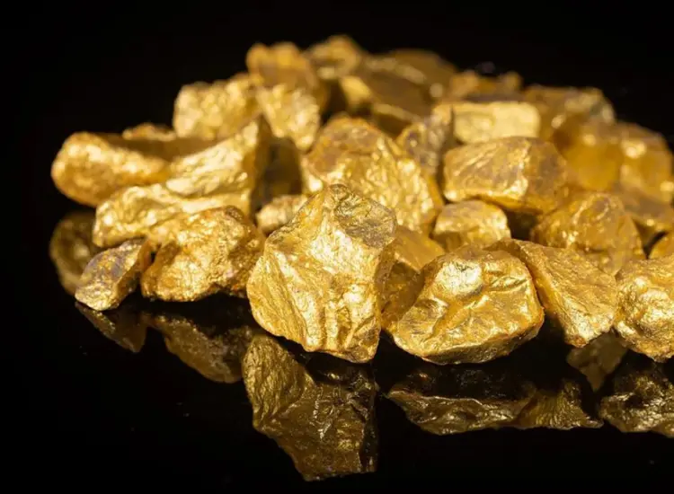 Test di flottazione dei minerali d'oro