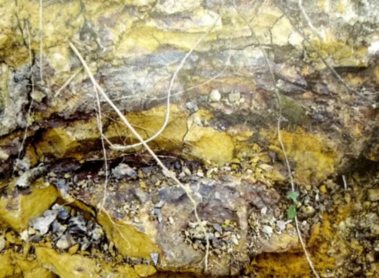 Test del processo di lisciviazione per minerali associati refrattari