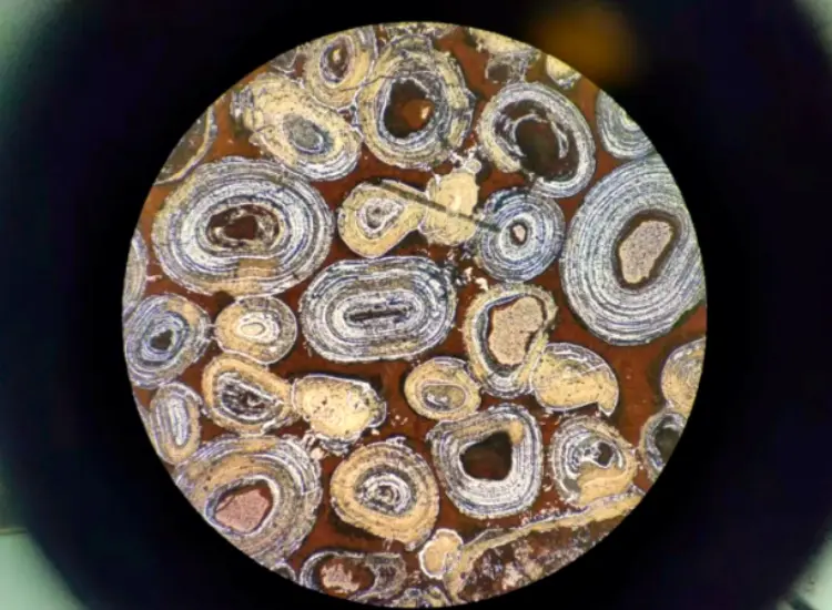 Test di defosforilazione e desilicazione dell'ematite oolitica